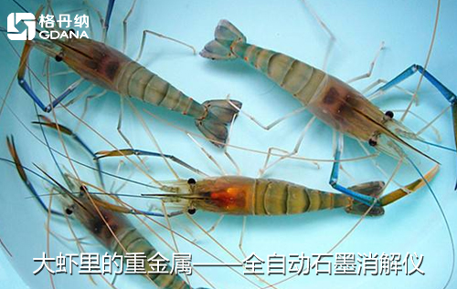 鱼、贝、虾