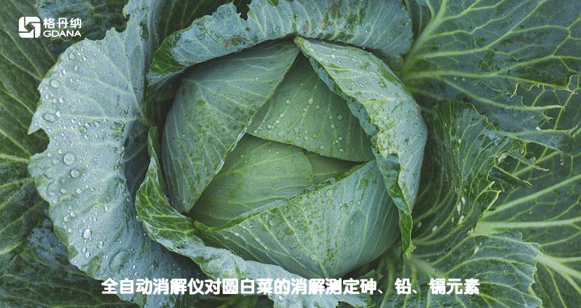 全自动消解仪对圆白菜的消解测定砷、铅、镉元素